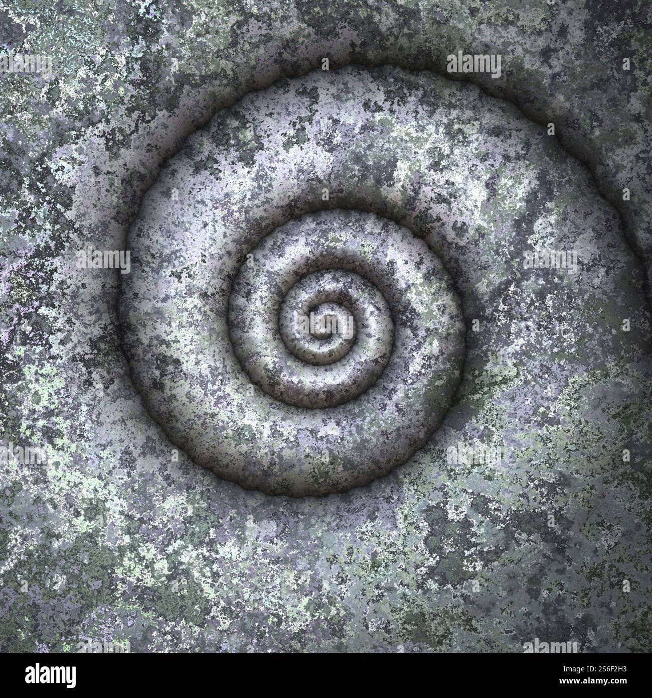 Fossilised shells Banque de photographies et d’images à haute ...