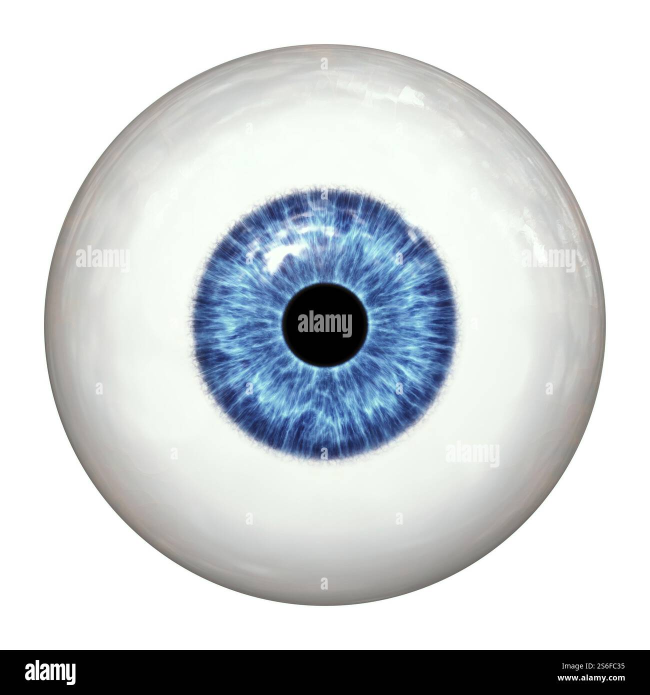 illustration 2d d'une boule d'oeil humain bleu Banque D'Images