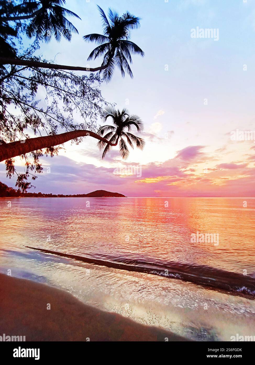 Plage de mer de l'île tropicale de coucher de soleil, paysage de lever de soleil de l'océan, silhouette de feuilles de palmier, reflet du soleil, eau, ciel rouge rose, vacances d'été, vacances Banque D'Images