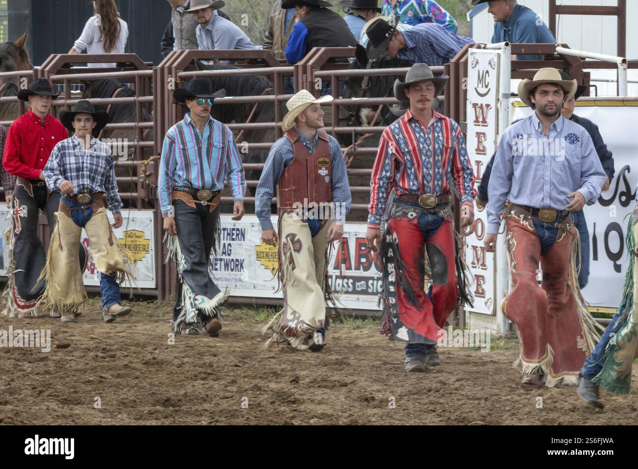 Les coureurs de rodéo marchent dans la Bucking Horse Sale, Rodeo, Miles City, Montana, États-Unis, Amérique du Nord Banque D'Images