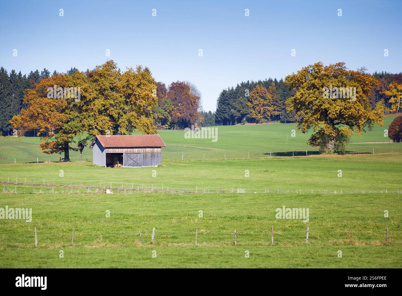 Une image d'un paysage d'automne bavarois allemagne Banque D'Images