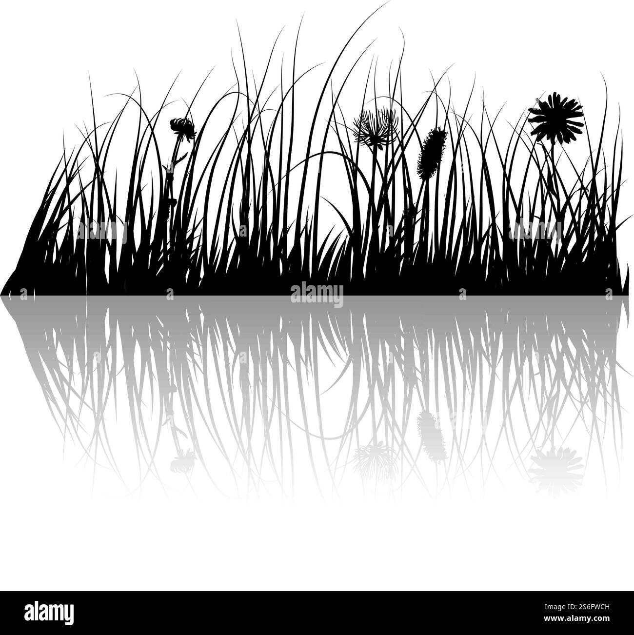 Vector silhouettes herbe arrière-plan avec la réflexion dans l'eau. Tous les objets sont séparés. Illustration de Vecteur