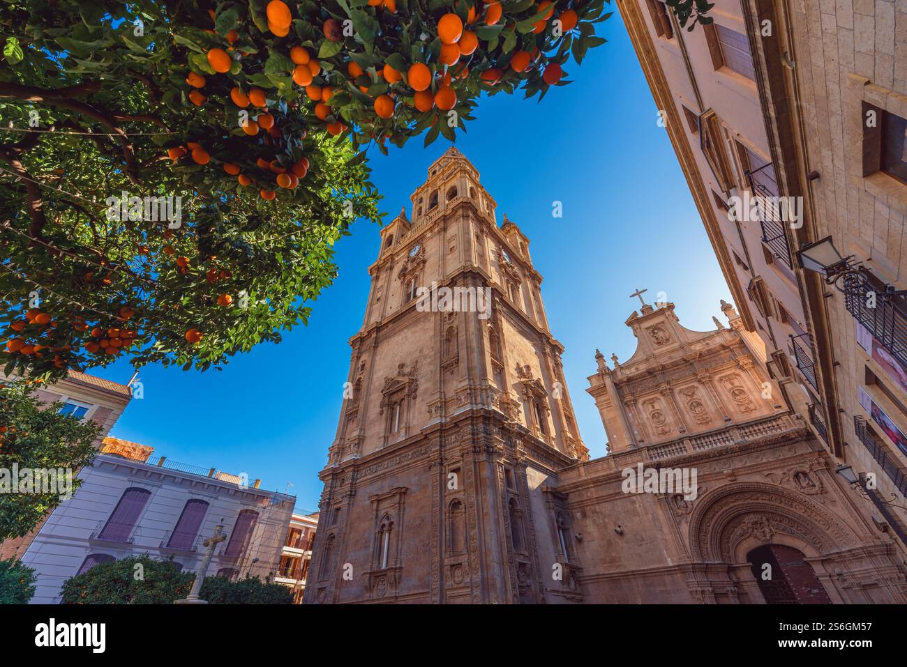Murcie, Espagne. 10 janvier 2025. Vue en bas angle du clocher de la cathédrale catholique romaine Banque D'Images