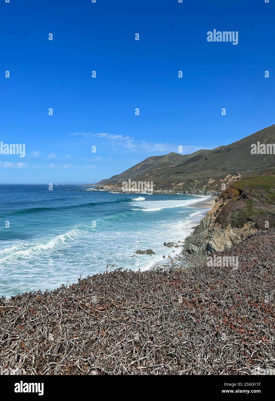 Côte ouest de la Californie Banque D'Images