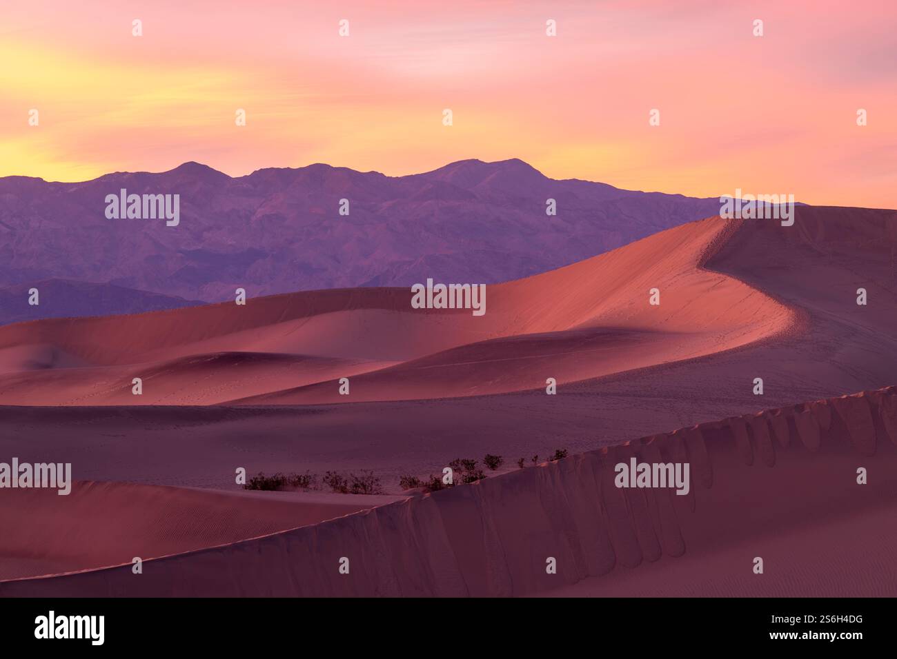 Télévision Mesquite Sand Dunes, Death Valley National Park, California, USA Banque D'Images