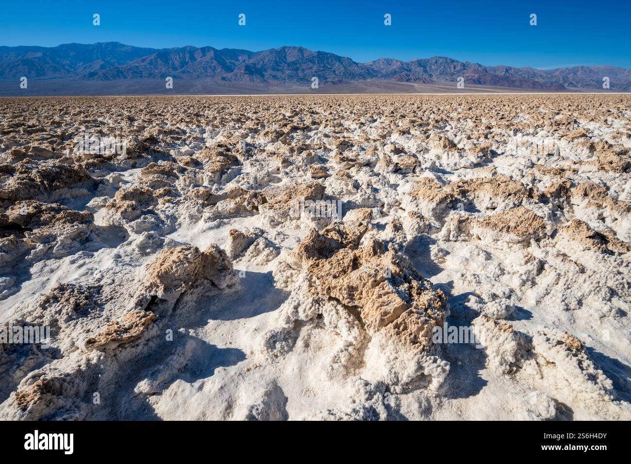 Devil's Golf course Salt Pan, parc national de la Death Valley, Californie, États-Unis Banque D'Images