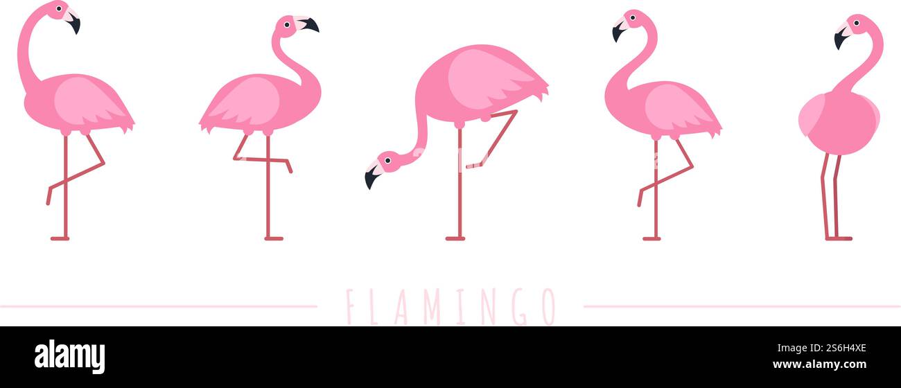 Flamant rose. Personnages exotiques d'oiseaux tropicaux. Ensemble de vecteurs d'animaux sauvages isolés. Animal flamant sauvage exotique, illustration de caractère sauvage. Flamant rose. Personnages exotiques d'oiseaux tropicaux. Ensemble de vecteurs d'animaux sauvages isolés Illustration de Vecteur