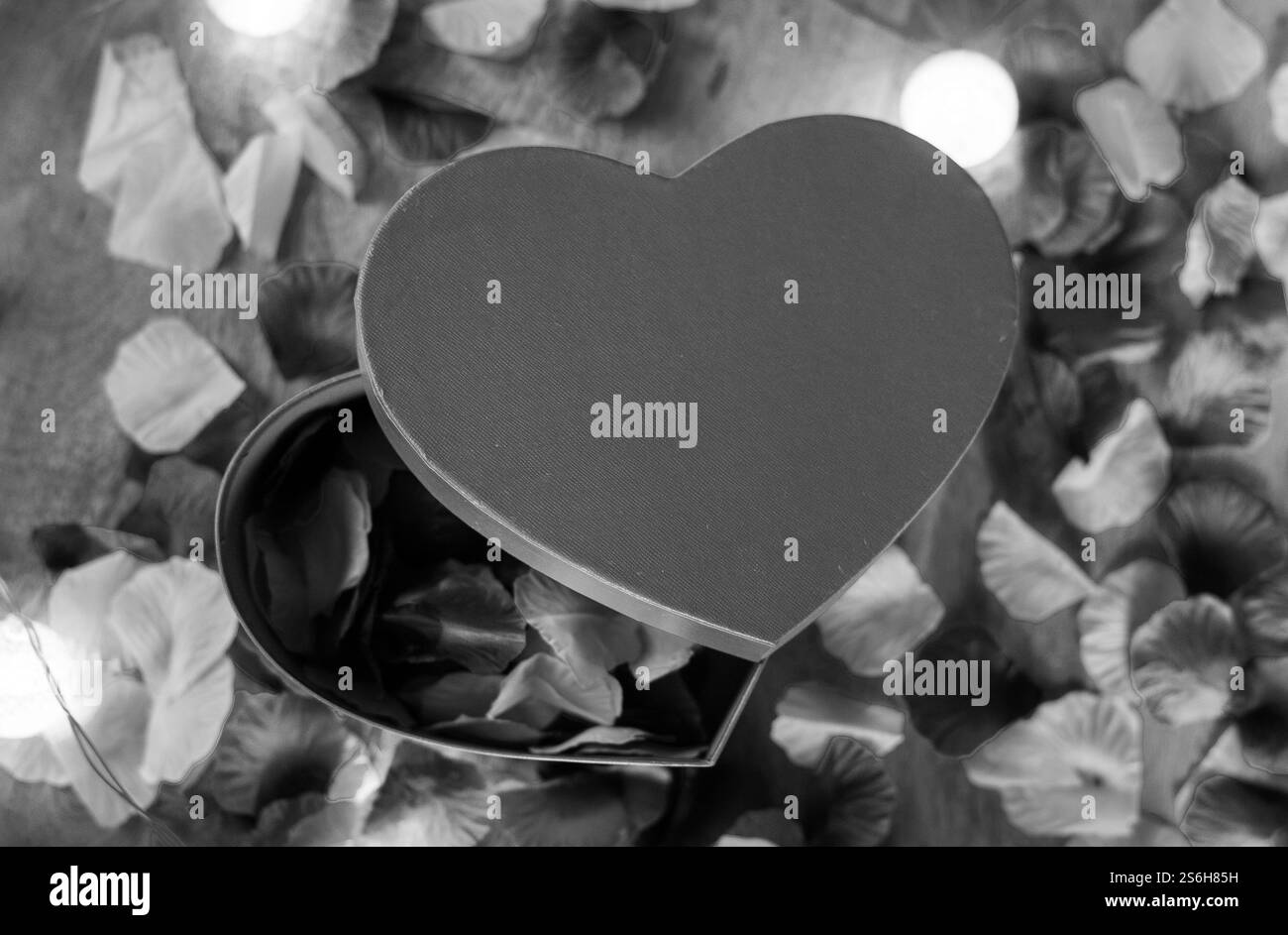 Boîte cadeau en forme de coeur avec pétales de fleurs Banque D'Images