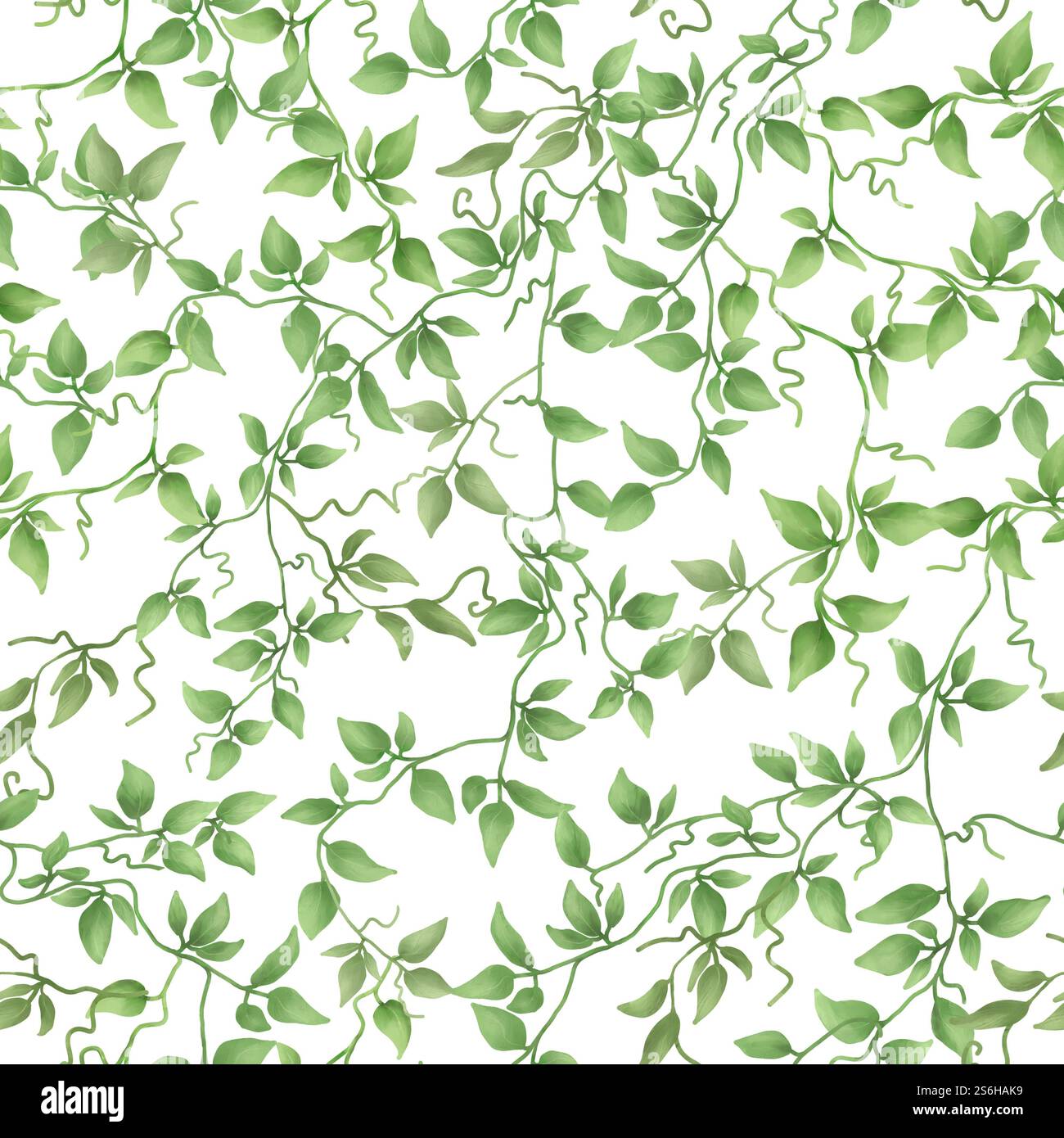 Branches de lierre avec des feuilles vertes sur un motif sans couture. Illustration numérique aquarelle. Plante grimpante délicate avec tige mince isolée sur backgrou blanc Banque D'Images