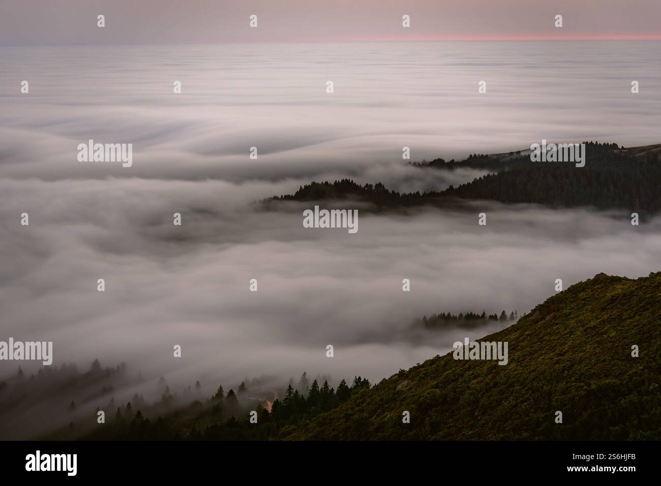 Brouillard flottant au-dessus des collines californiennes Banque D'Images