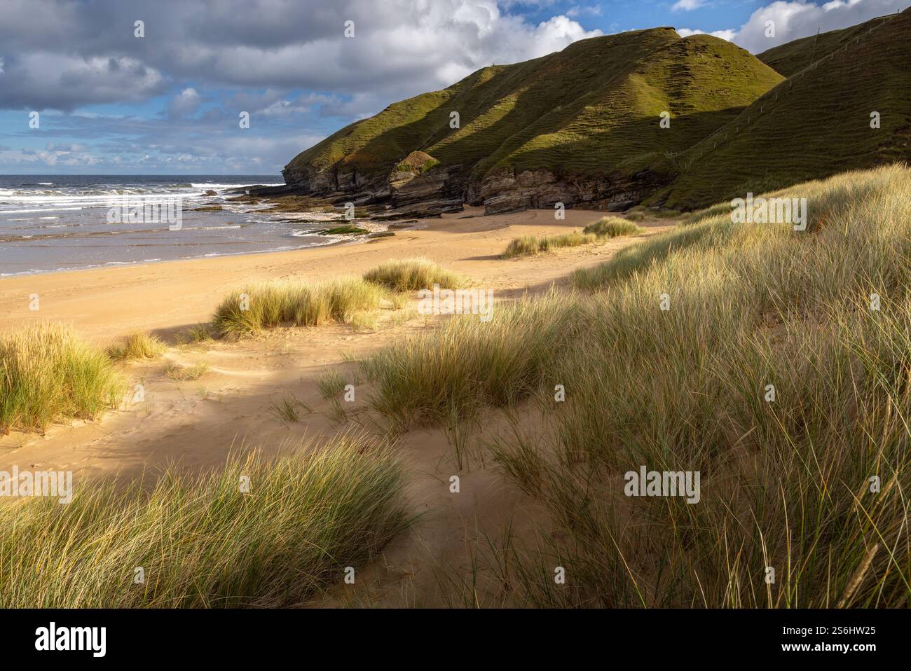 Un chemin à travers les dunes de sable à Strathy Beach mène à la mer et de belles falaises en arrière-plan. Banque D'Images