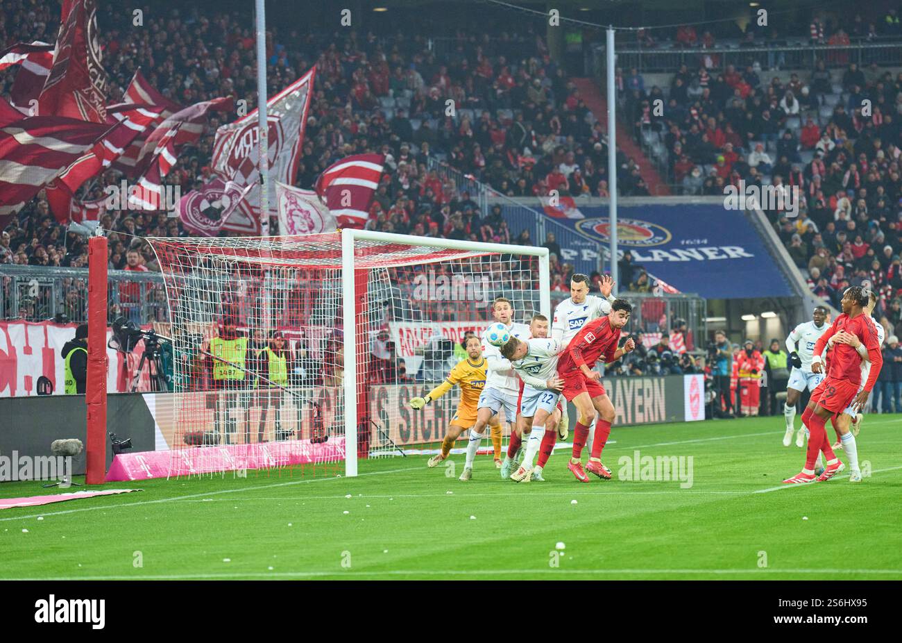 Alexander Prass, Hoff 22 Competition for the ball, Tackling, duel, header, zweikampf, action, combat contre Aleksandar Pavlovic, FCB 45, Oliver BAUMANN, Torwart Hoff 1 dans le match FC BAYERN MUENCHEN - TSG 1899 HOFFENHEIM 5-0 le 15 janvier 2025 à Munich, Allemagne. Saison 2024/2025, 1.Bundesliga, FCB, Muenchen, journée 18, 18.Spieltag photographe : ddp images/STAR-images - LA RÉGLEMENTATION DFL INTERDIT TOUTE UTILISATION DE PHOTOGRAPHIES comme SÉQUENCES D'IMAGES et/ou QUASI-VIDÉO - crédit : ddp Media GmbH/Alamy Live News Banque D'Images