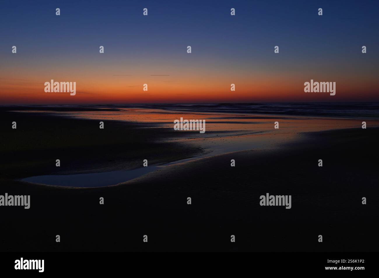 Lumière avant l'aube sur la plage le long de la côte de Caroline du Nord Banque D'Images