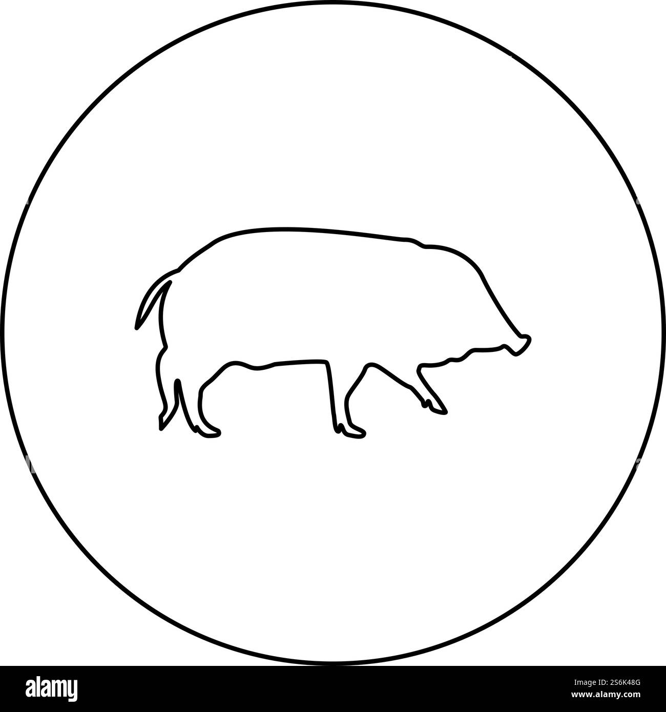 Sanglier verrue porcine porc Suidae sus Tusker Scrofa silhouette en cercle rond couleur noire illustration vectorielle contour contour style image simple. Sanglier verrue porcine de porc Suidae sus Tusker Scrofa silhouette en cercle rond noir illustration vectorielle de contour image de style Illustration de Vecteur
