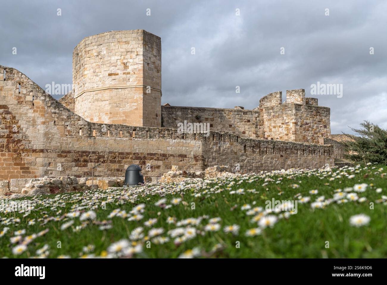 Vue sur le château de Zamora avec des fleurs au premier plan. Castilla y Leon, Espagne Banque D'Images