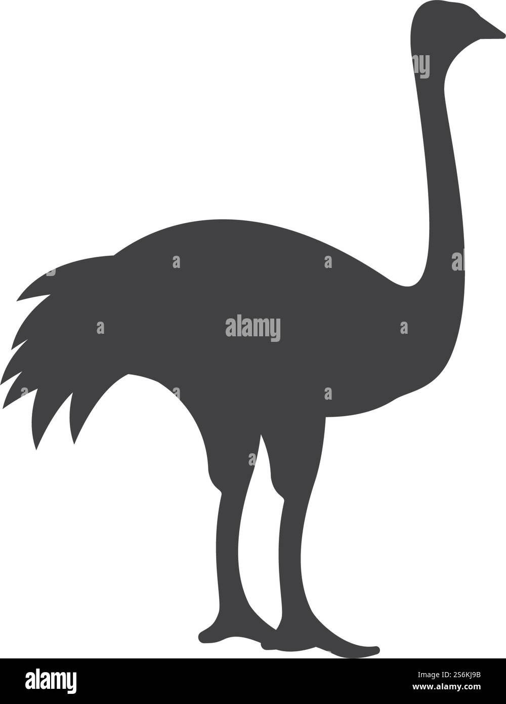 Conception vectorielle de logo d'illustration d'autruche Illustration de Vecteur