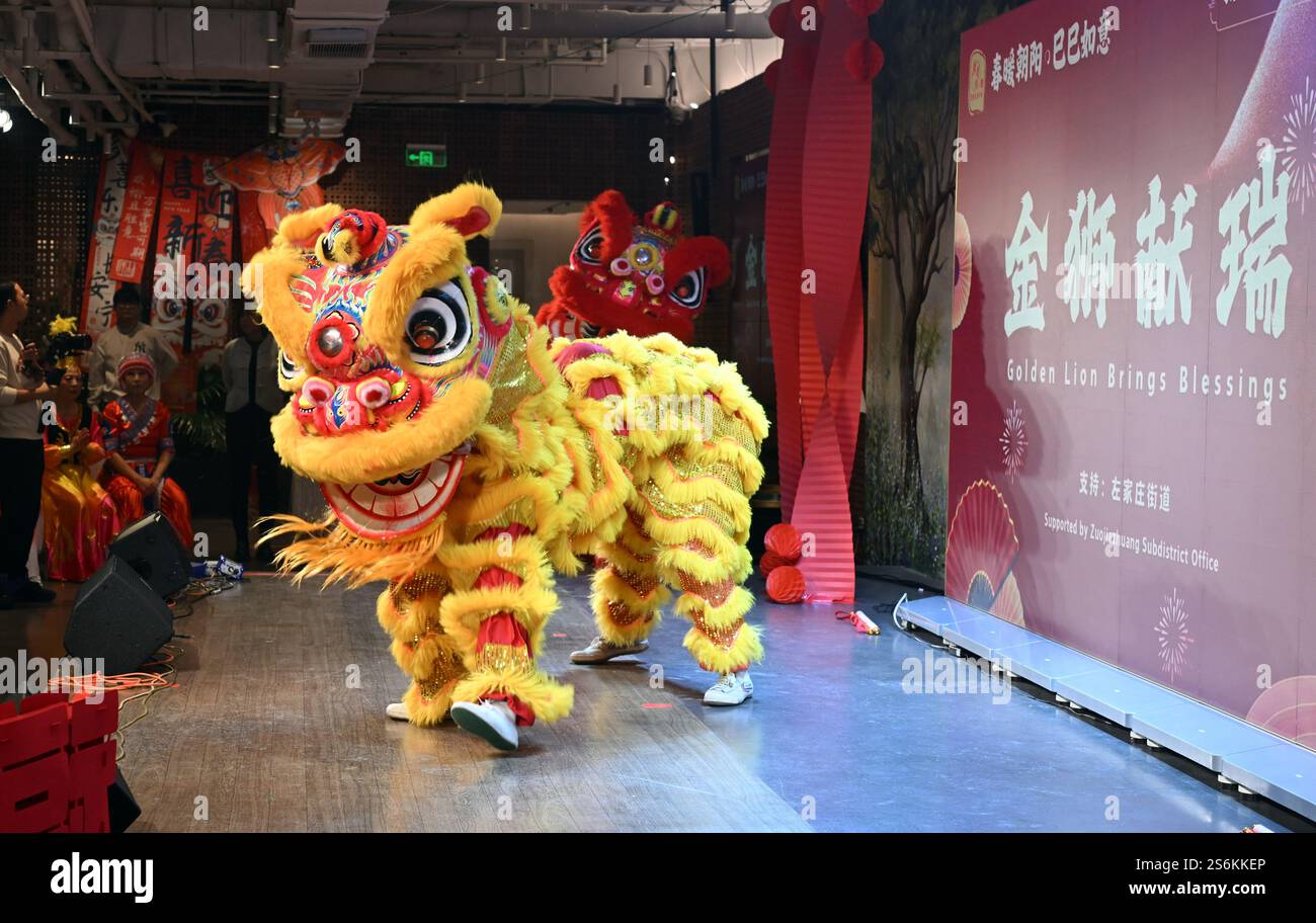 Pékin, Chine. 17 janvier 2025. Un spectacle de danse du lion est mis en scène lors d'une réunion communautaire dans le sous-district de Zuojiazhuang du district de Chaoyang à Pékin, capitale de la Chine, le 17 janvier 2025. Les résidents chinois et étrangers du sous-district de Zuojiazhuang à Pékin ont pris part à diverses activités culturelles lors d'une réunion communautaire qui s'est tenue vendredi avant le Festival du printemps. Crédit : Jin Liangkuai/Xinhua/Alamy Live News Banque D'Images
