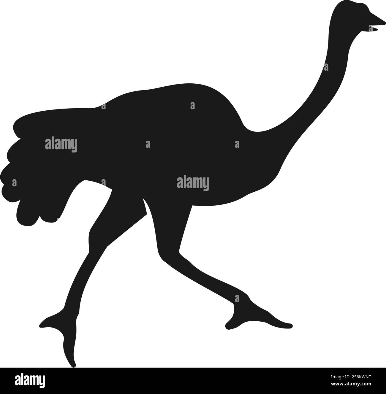 Conception vectorielle de logo d'illustration d'autruche Illustration de Vecteur