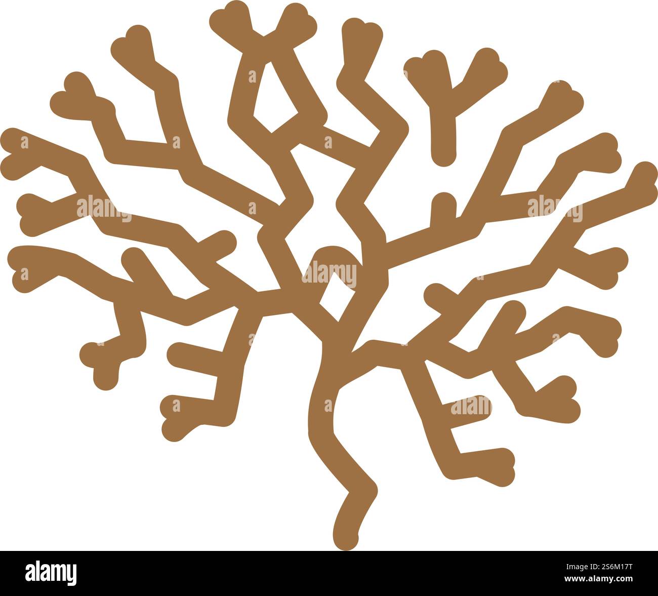 vecteur d'icône de couleur d'algues de mousse irlandaise. signe d'algues de mousse irlandaise. illustration de symbole isolé. illustration vectorielle d'icône de couleur d'algues de mousse irlandaise Illustration de Vecteur