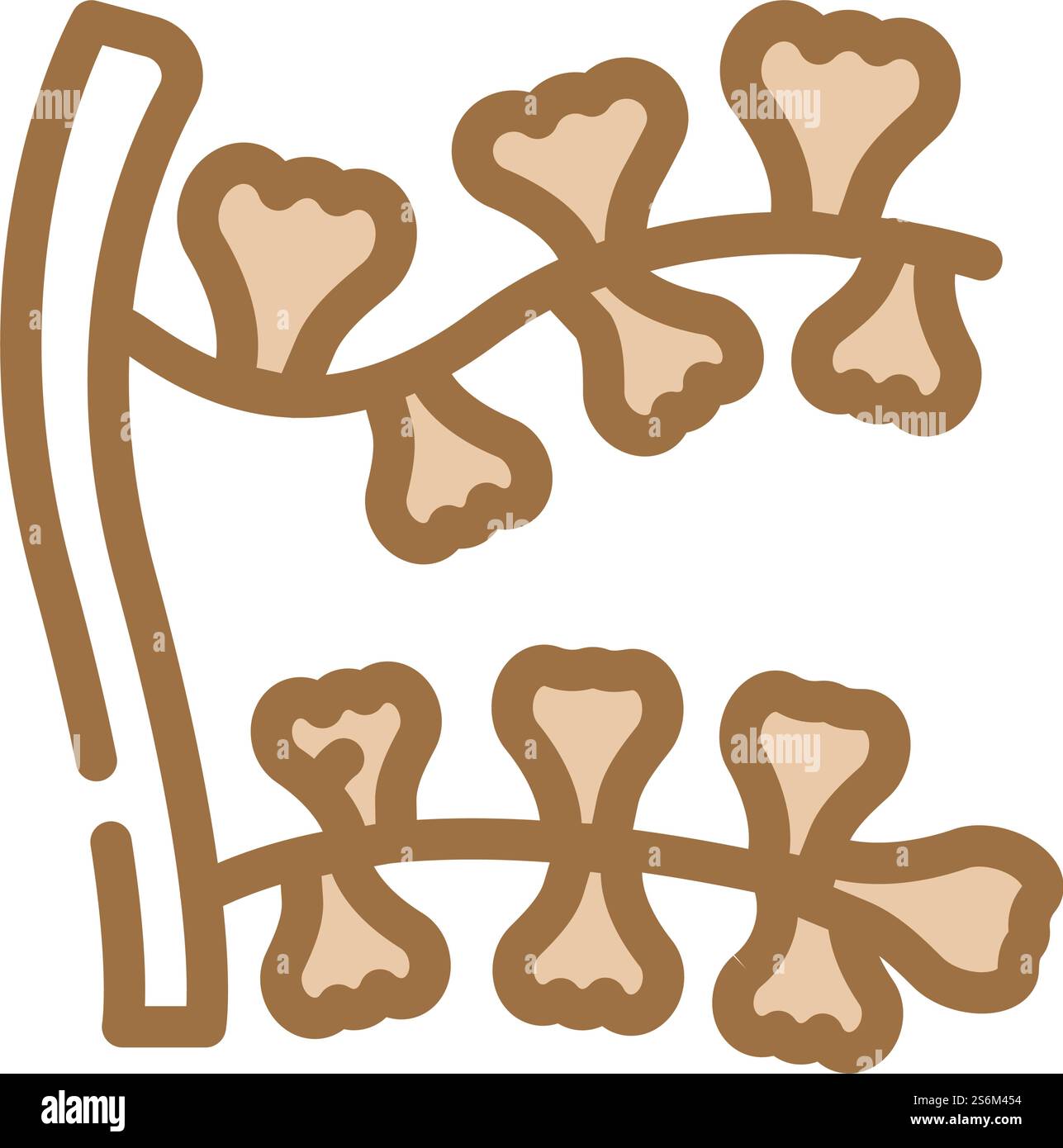 vecteur d'icône de couleur sargassum horneri seaweed. signe d'algues sargasses horneri. illustration de symbole isolé. illustration vectorielle d'icône de couleur d'algues sargasses horneri Illustration de Vecteur