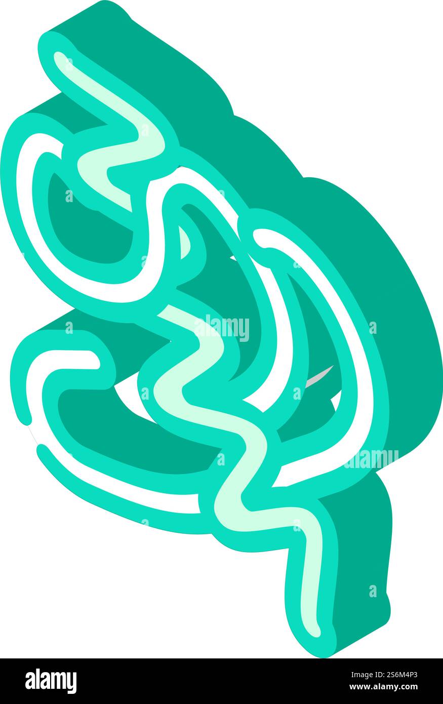 vecteur d'icône isométrique arthrospira plantesis seaweed. signe d'algues arthrospira plantesis. illustration de symbole isolé. illustration vectorielle d'icône isométrique arthrospira plantesis seaweed Illustration de Vecteur