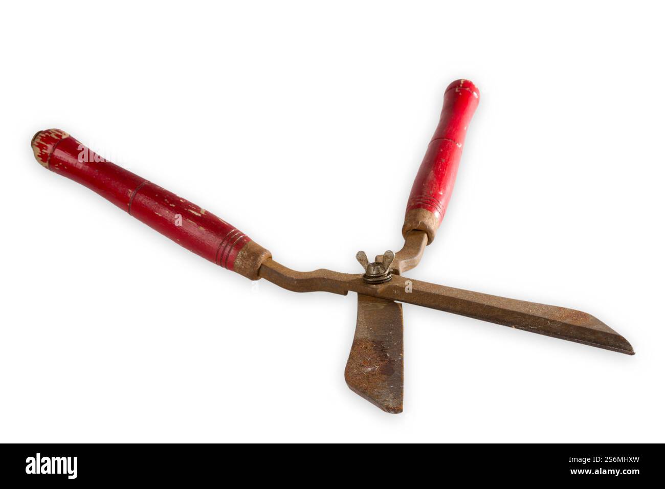 Vieux sécateurs rouillés coupés sur fond clair Banque D'Images