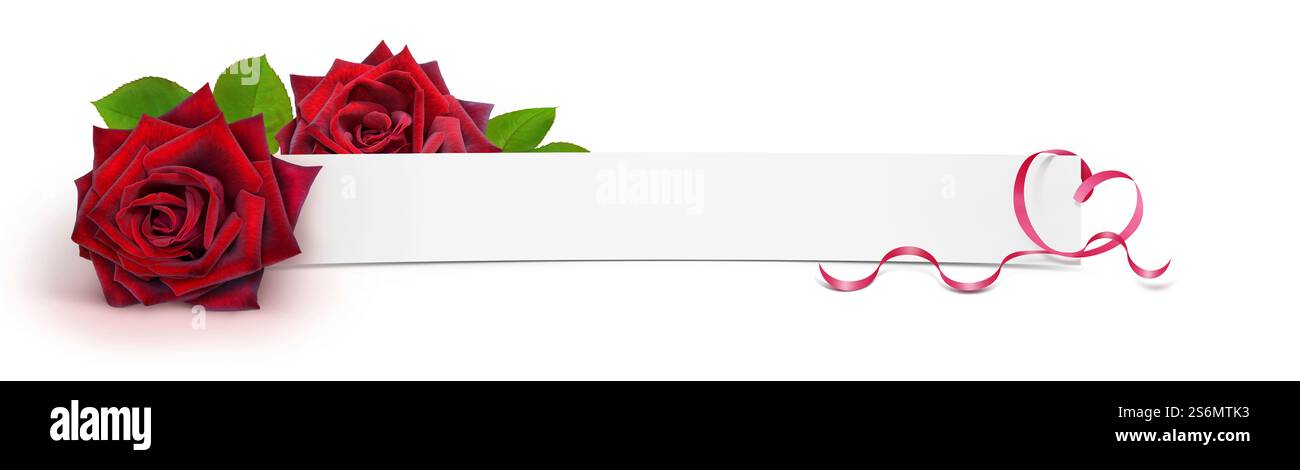 Bannière modèle avec des roses Banque D'Images