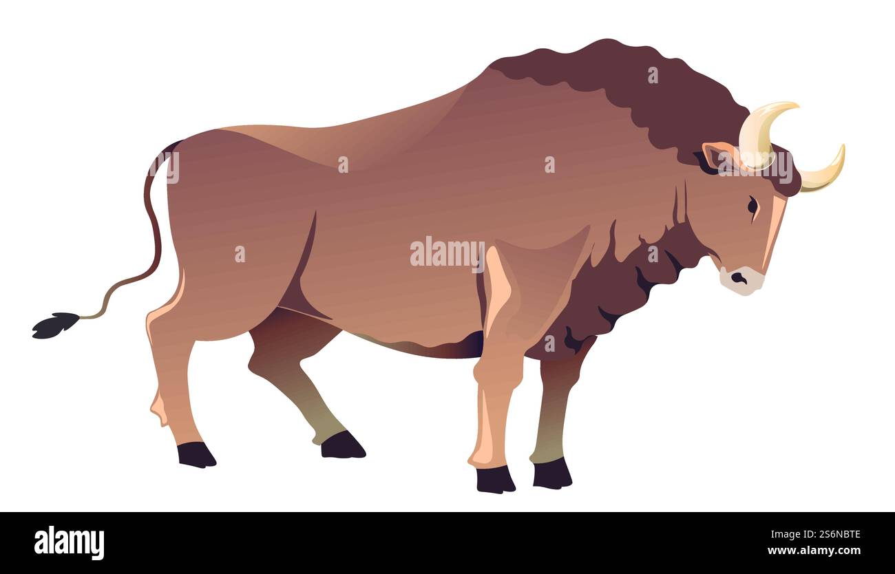 Bison avec de longues cornes et une expression en colère, boeuf ou boeuf isolé, mammifère à cornes. Faune et flore, taureau au visage effrayant. Corrida ou corrida vache, vecteur dans le style plat. Taureau avec de longues cornes, boeuf ou vecteur de buffle Illustration de Vecteur