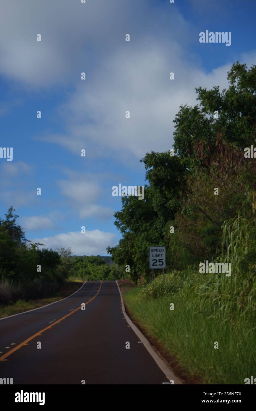 Route de montagne pittoresque entourée de verdure luxuriante et de collines ondulantes sous un ciel bleu profond, capturée sur Kauai, Hawaï, mettant en valeur la beauté de l'île tropicale Banque D'Images