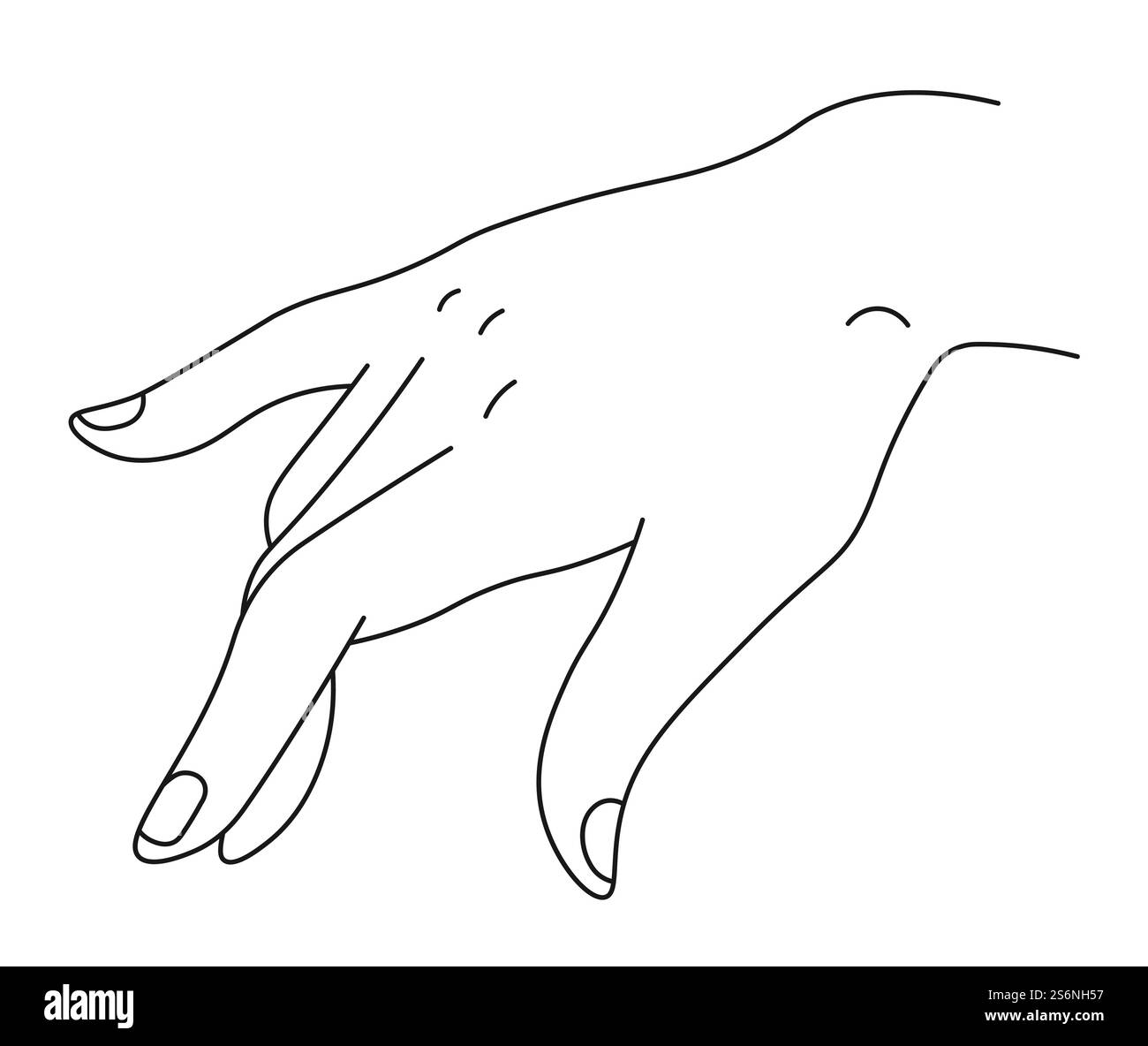 Gestes et communication avec les mains et les symboles non verbaux. Ligne minimaliste isolée paume avec doigts et ongles. Interaction avec message désactivé ou code. Vecteur dans l'illustration de style plat. Gestes de la main, communication et vecteur gestuel Illustration de Vecteur