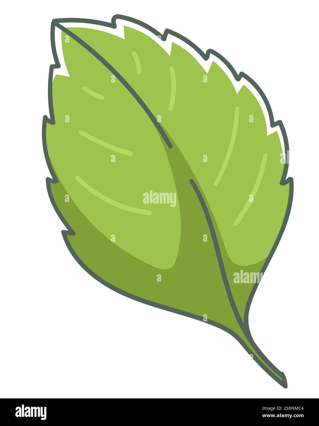 Feuille de croissance de la plante de fraise, feuillage isolé et feuillage, printemps ou été saison. Botanique de parc, bois ou forêt. Composition fleuriste, arbustes luxuriants ou arbustes. Vecteur dans l'illustration de style plat. Feuille de plante de fraise, jardinage et culture Illustration de Vecteur