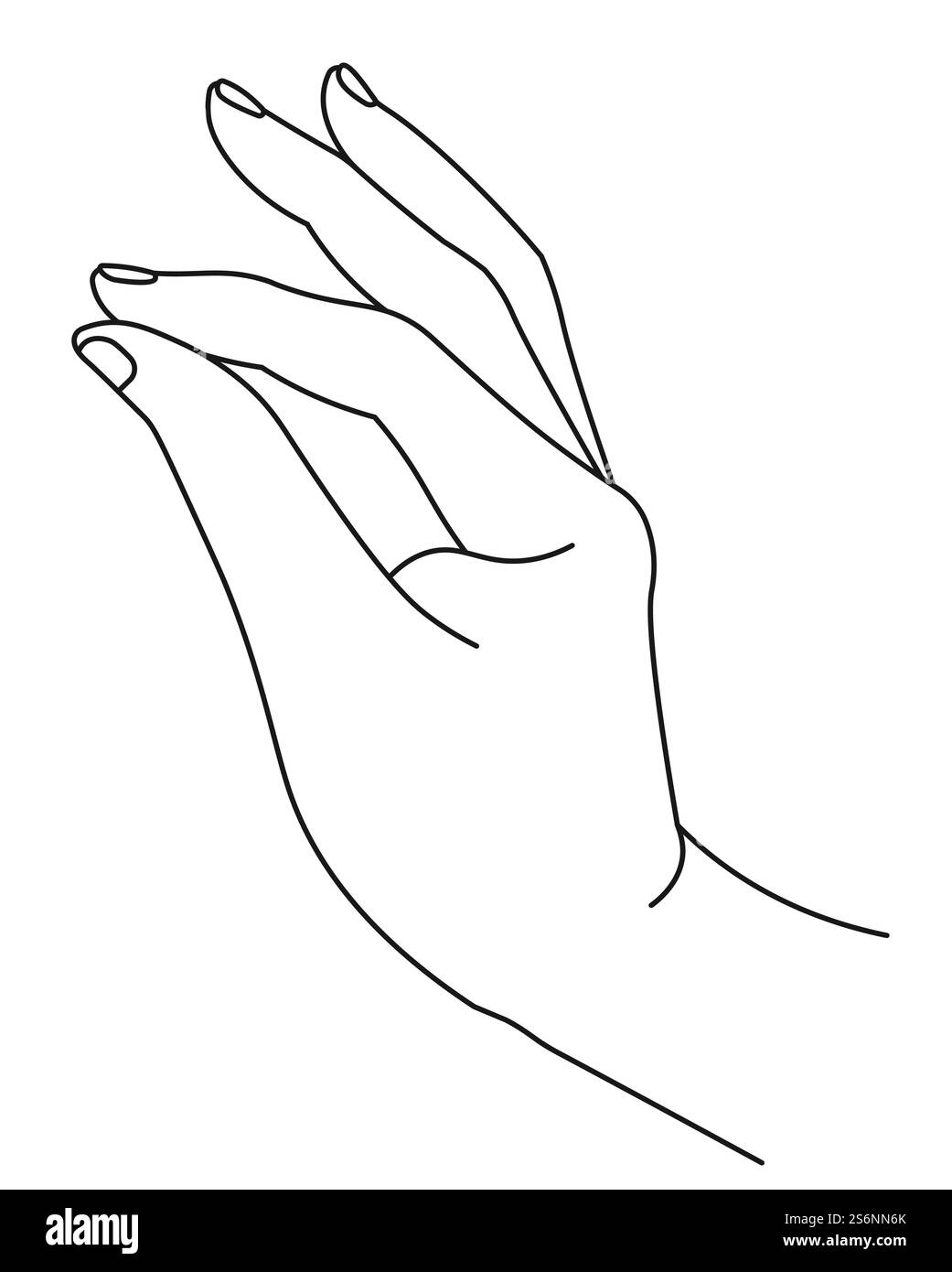 Main féminine dessinée en dessin au trait, paume isolée avec l'index et le pouce serrant. Tenir ou prendre, geste de signe OK, communication avec des moyens et des signaux non verbaux. Vecteur dans le style plat. Main élégante avec le pouce et l'index serrant Illustration de Vecteur