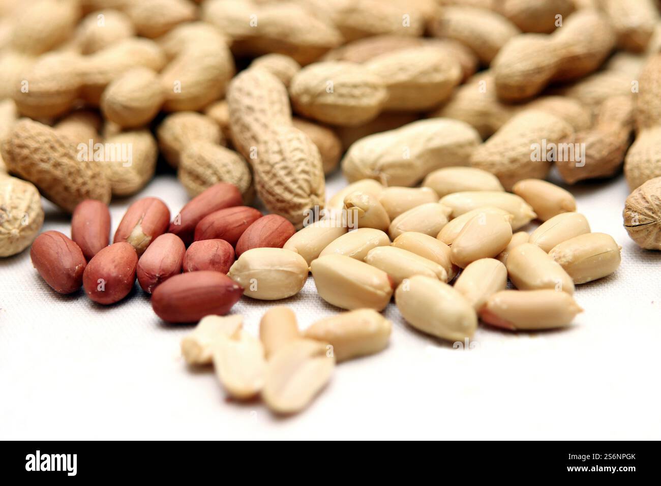 Arachides issues de l'agriculture biologique Banque D'Images