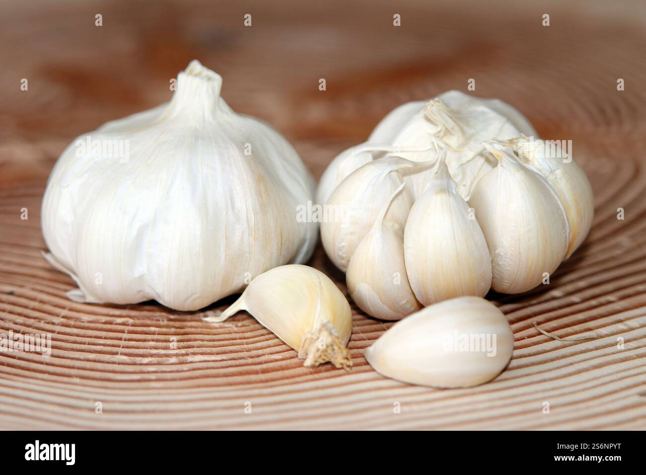 Culte de la vie urbaine Banque D'Images