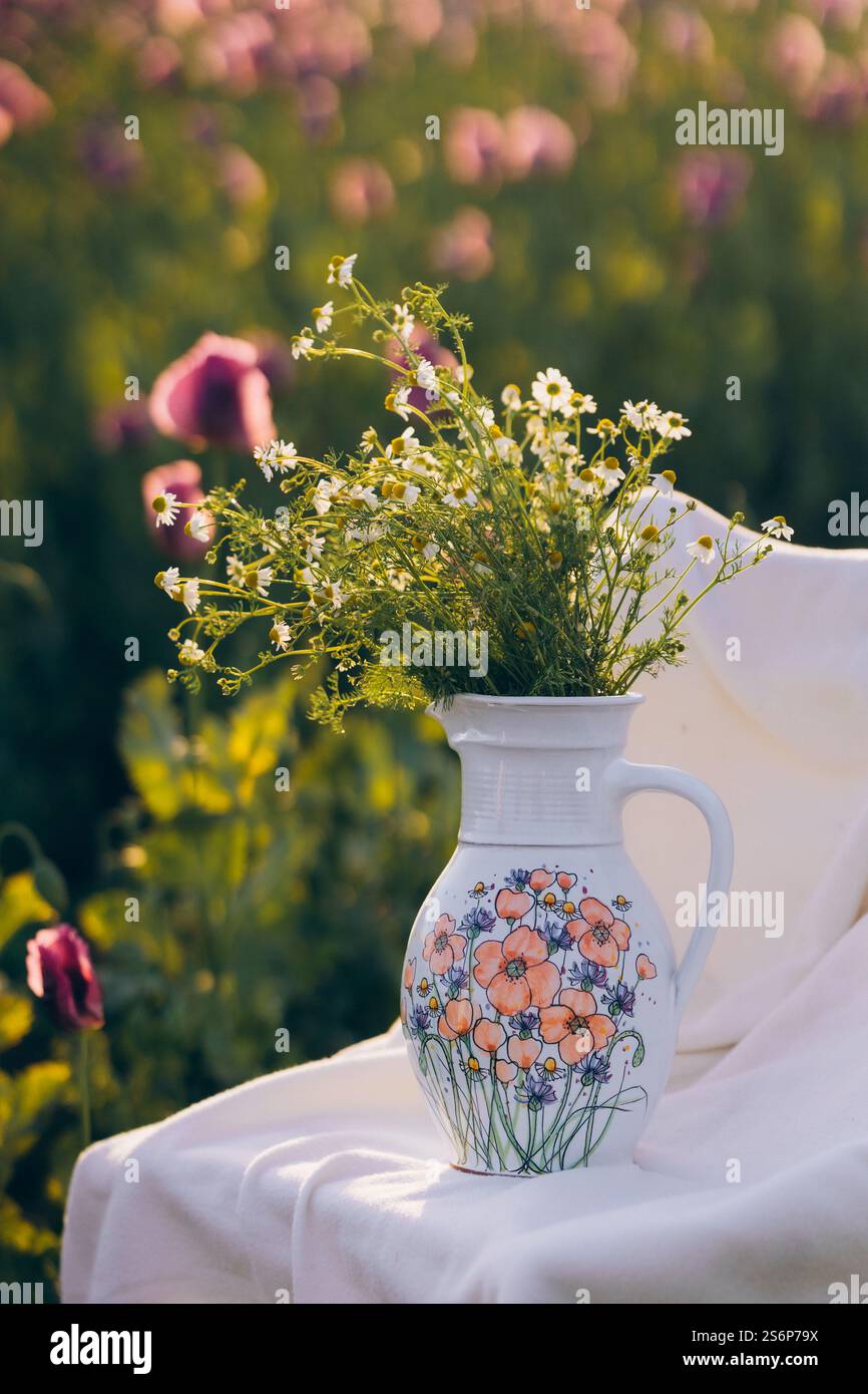 Nature morte avec des fleurs et une chaise dans un champ de coquelicots au coucher du soleil Banque D'Images