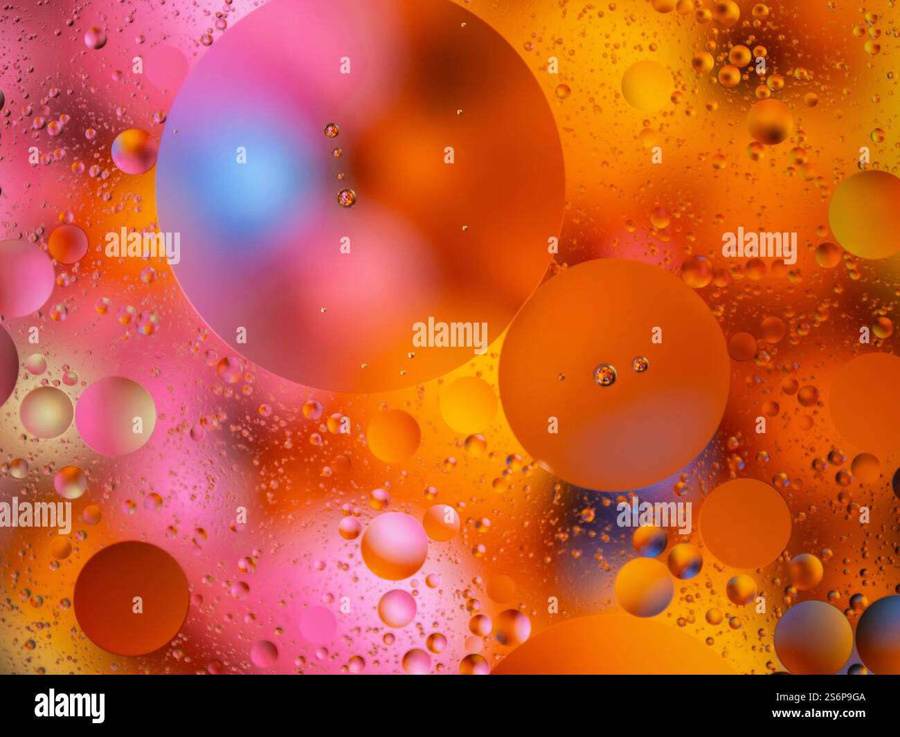 Composition abstraite avec des formes circulaires vibrantes, créées par des gouttelettes d'huile dans l'eau avec un fond dégradé coloré. Cette image saisissante évoque Banque D'Images