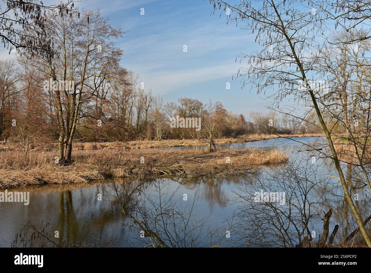Le printemps arrive à Ampertal, Moosburg-Oberreit, haute-Bavière Banque D'Images