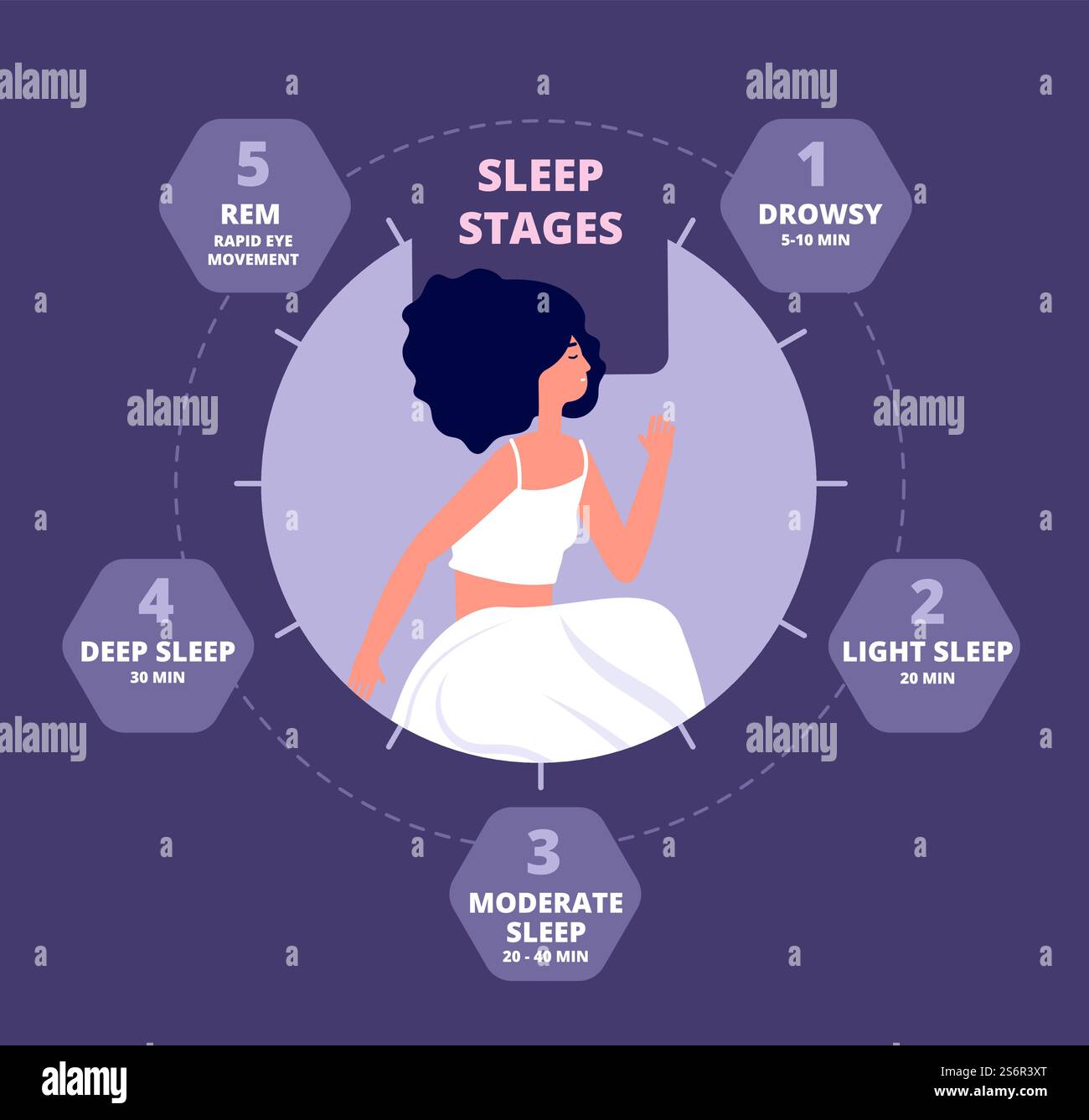 Cycle de sommeil. Biologie saine, exposition corporelle aux hormones. Schéma répétitif du sommeil, réaction cérébrale à la mélatonine. Affiche vectorielle de rythme nocturne. Phase de sommeil saine, illustration du temps de cycle au coucher. Cycle de sommeil. Biologie saine, exposition corporelle aux hormones. Schéma répétitif du sommeil, réaction cérébrale à la mélatonine. Affiche vectorielle de rythme nocturne Illustration de Vecteur