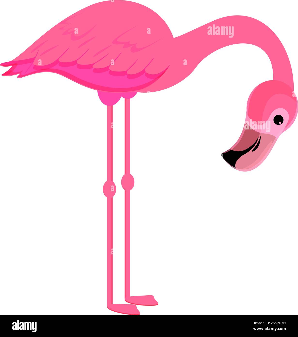 Vecteur de dessin animé d'icône de flamant mignon. Oiseau rose. Flamant rose tropical d'été. Vecteur de dessin animé d'icône de flamant mignon. Oiseau rose Illustration de Vecteur