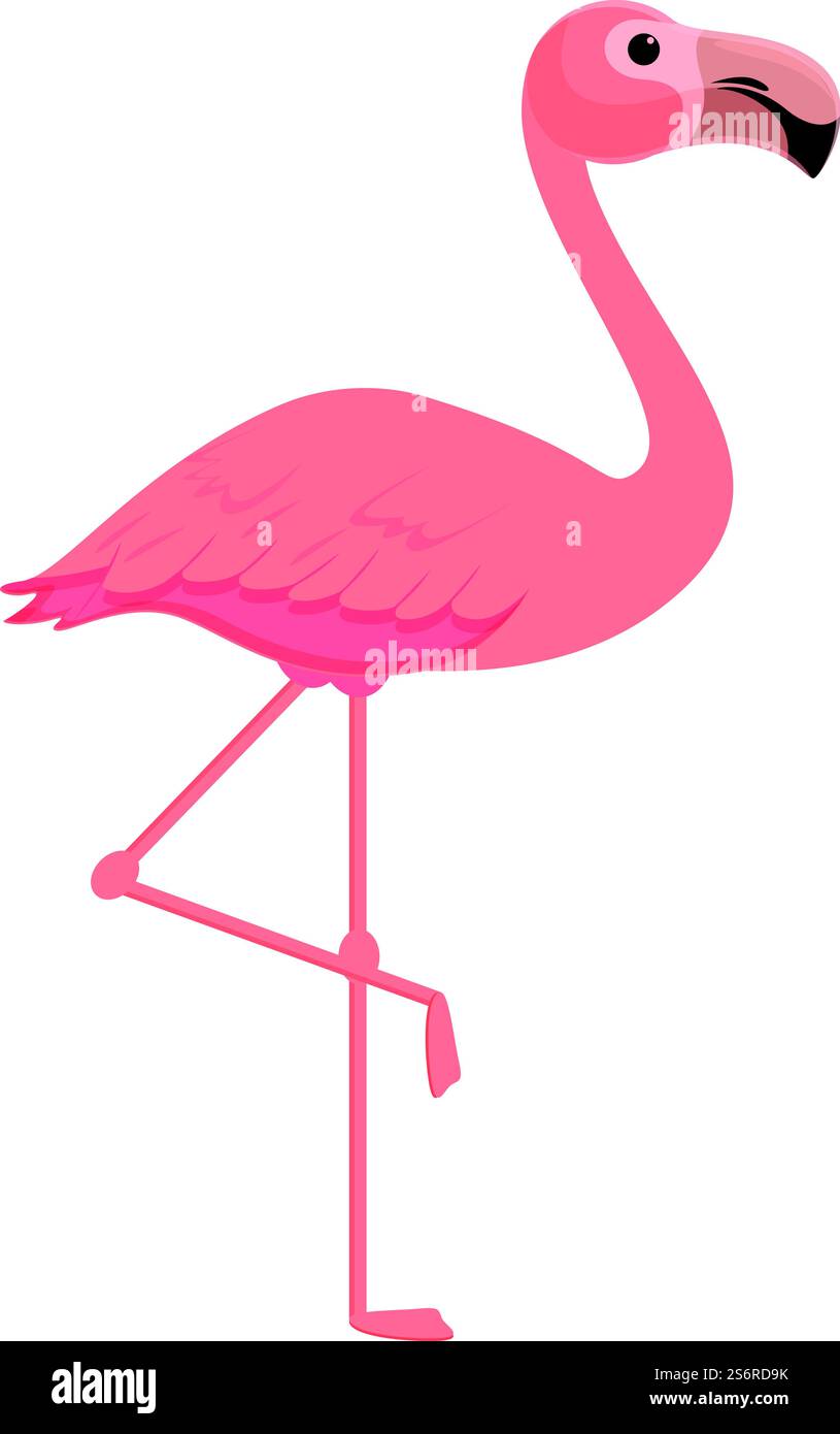 Vecteur de dessin animé d'icône de flamant Safari. Zoo flamant rose. Oiseau rose d'été. Vecteur de dessin animé d'icône de flamant Safari. Zoo flamant rose Illustration de Vecteur