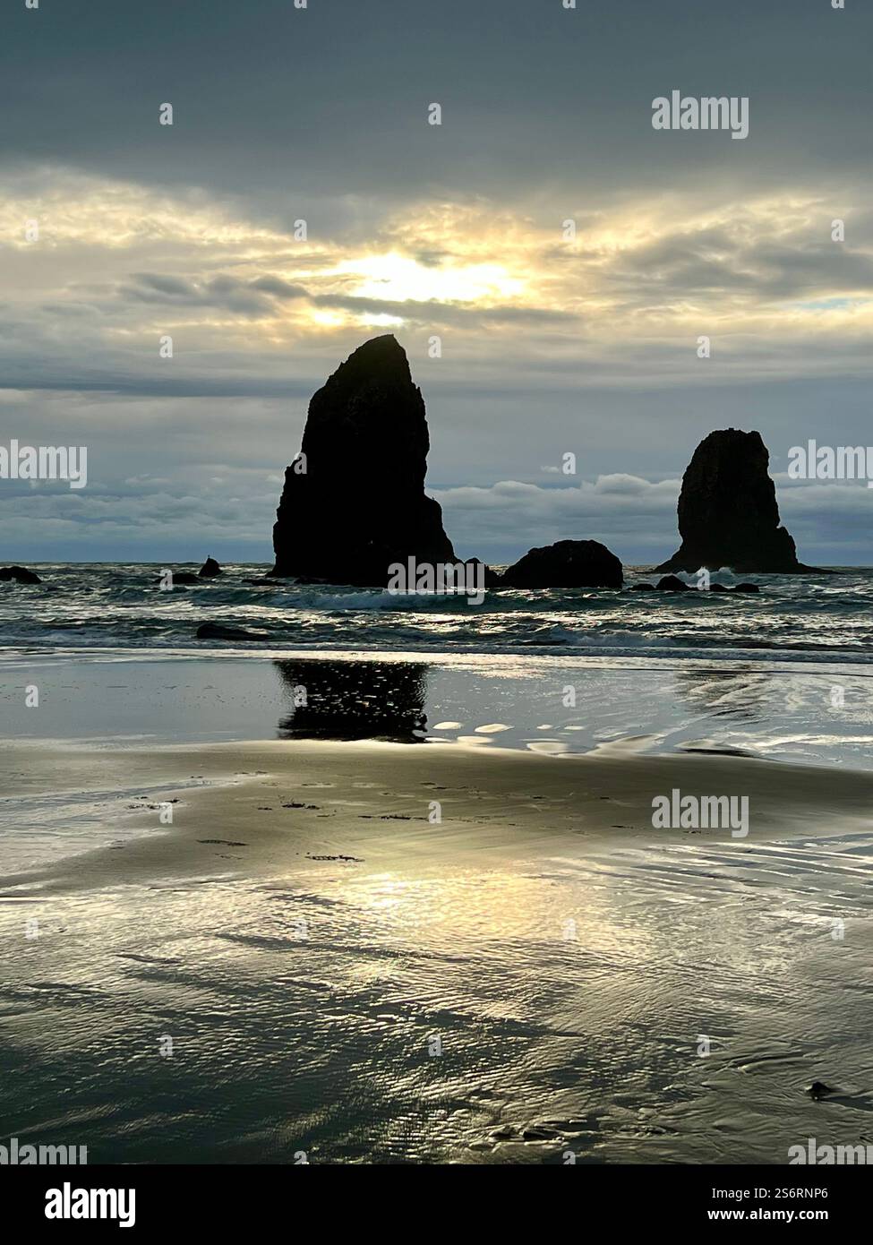 L'art magnifique de la nature à marée basse le long de la côte Pacifique. - Image de stock capturée avec un smartphone