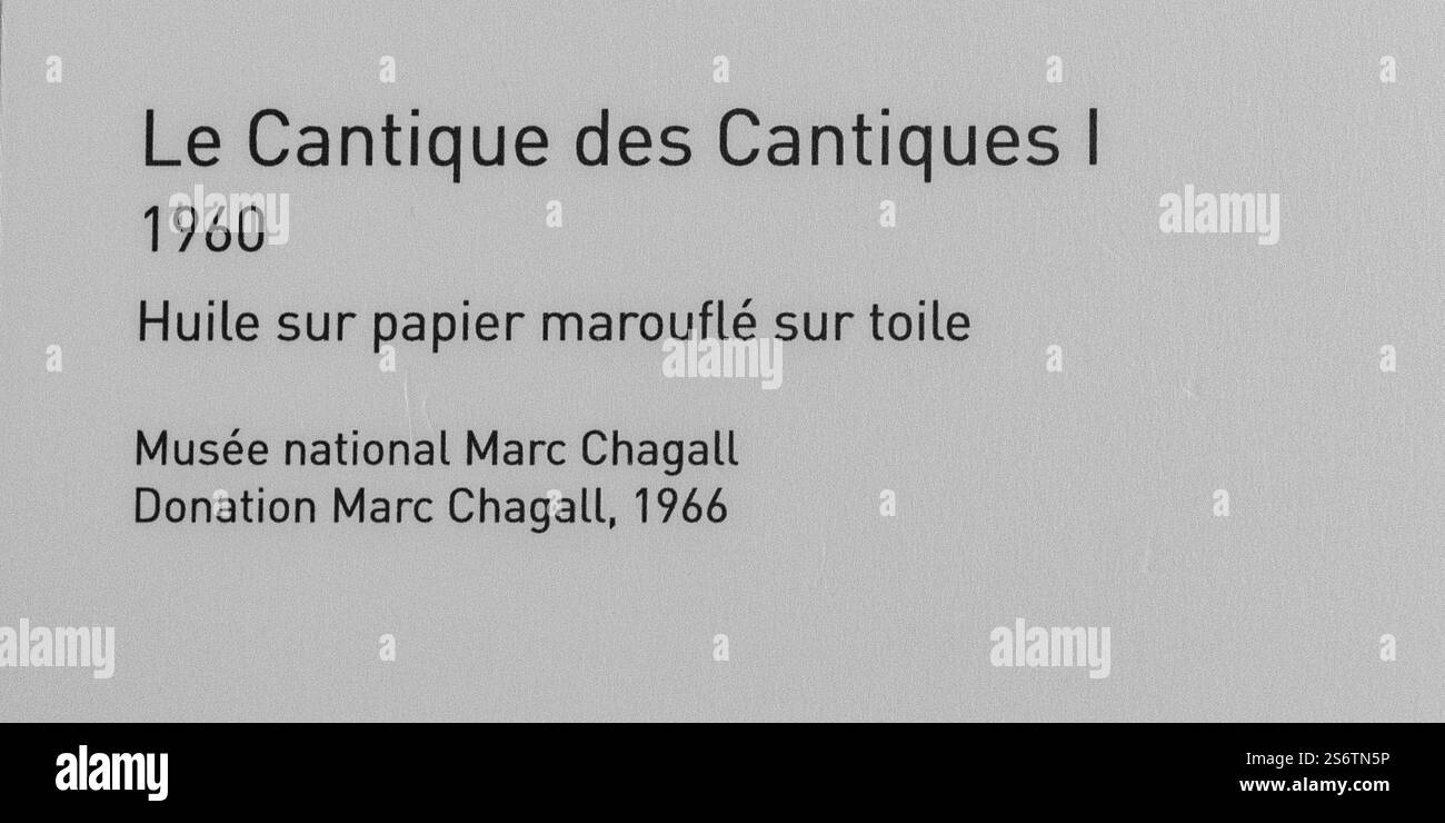 Musée national Marc Chagall (message biblique Chagall), Nice, France Banque D'Images