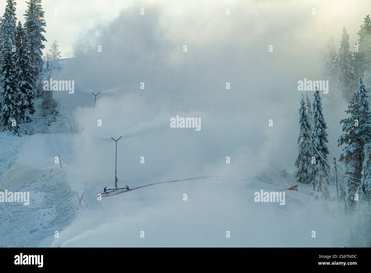 Scandinavie, Laponie, Finlande. Rovaniemi. Canons à neige en service sur le domaine skiable d'Ounasvaara ski Oy Banque D'Images