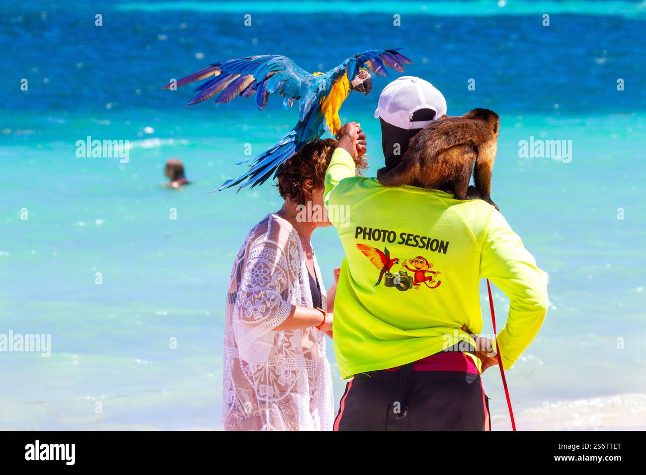 République Dominicaine, Punta Cana, photographie de plage avec des animaux Banque D'Images