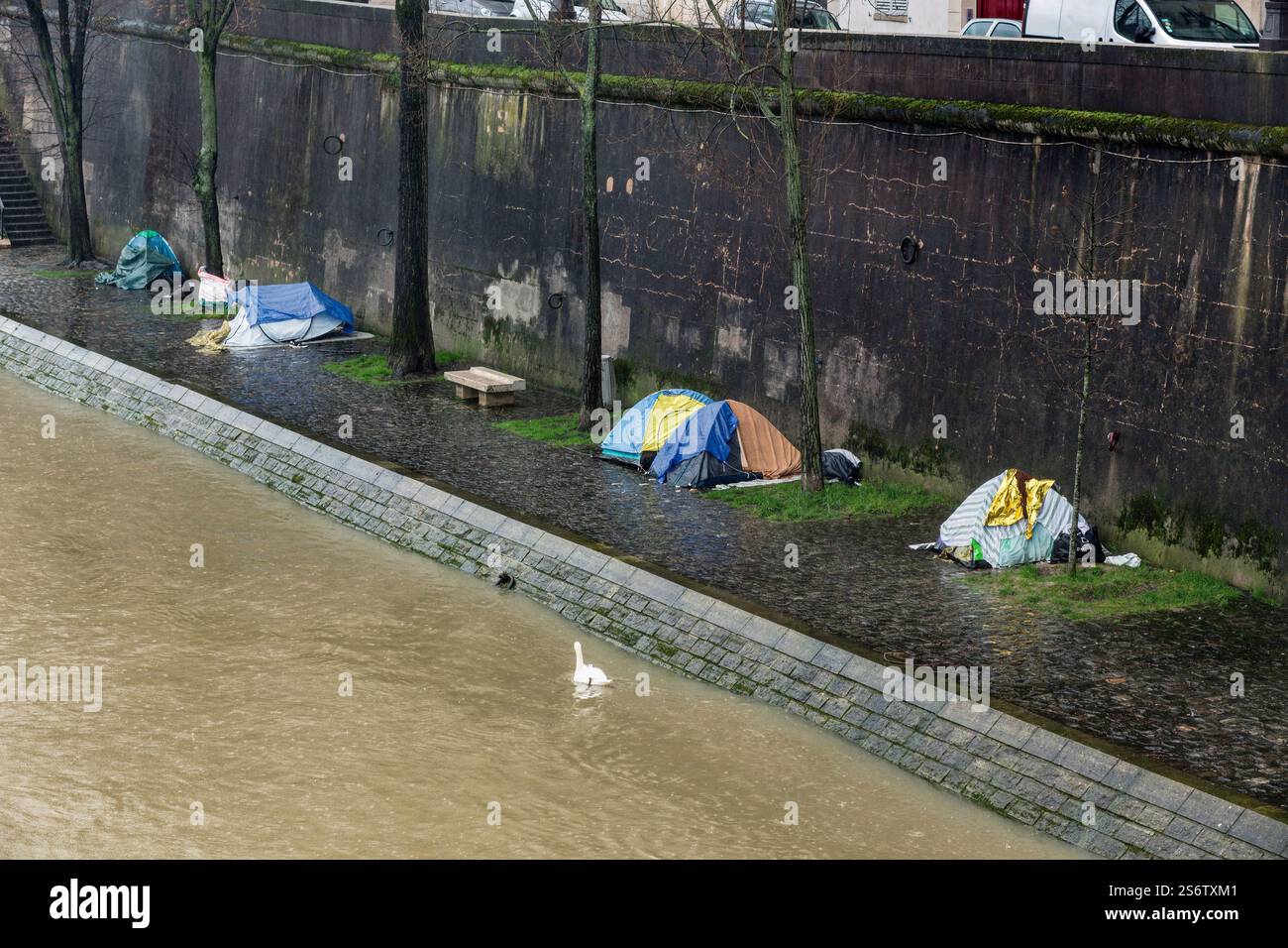 France, Paris, 75, 4ème ARRT, ile Saint-Louis, tentes sans-abri érigées quai Bourbon, pluie, février 2024. Banque D'Images