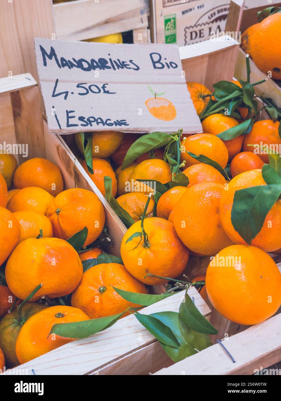 Mandarines bio avec prix dans une caisse. De l'Espagne. Banque D'Images