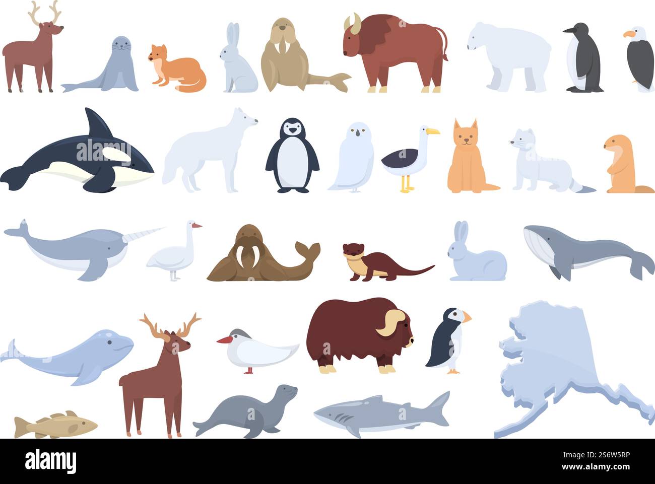 Alaska icônes Set vecteur de dessin animé. Animal de phoque. Walrus eskimo. Alaska icônes Set vecteur de dessin animé. Animal de phoque Illustration de Vecteur