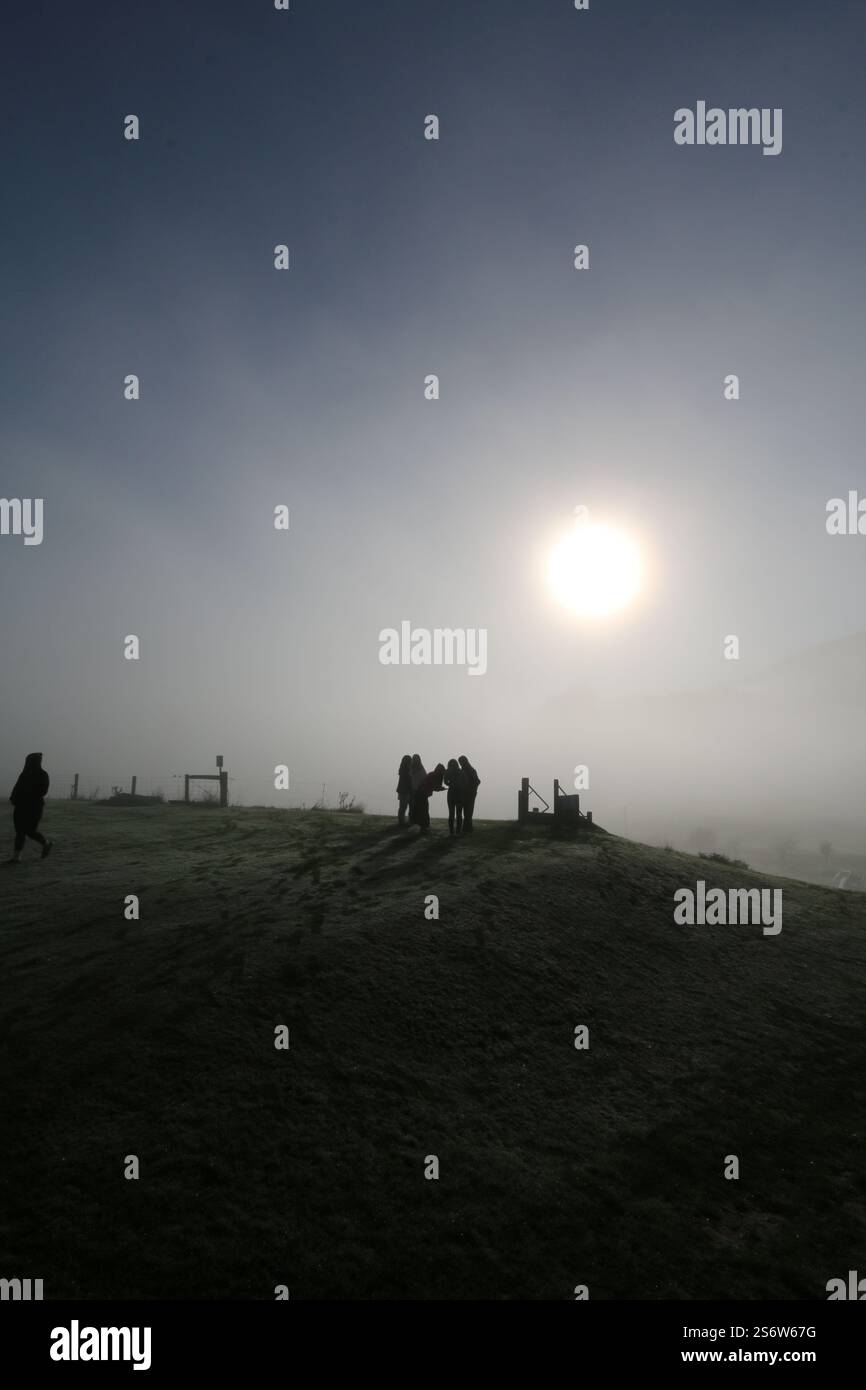 Une matinée fraîche et brumeuse près de Dunedin, Nouvelle-Zélande Banque D'Images