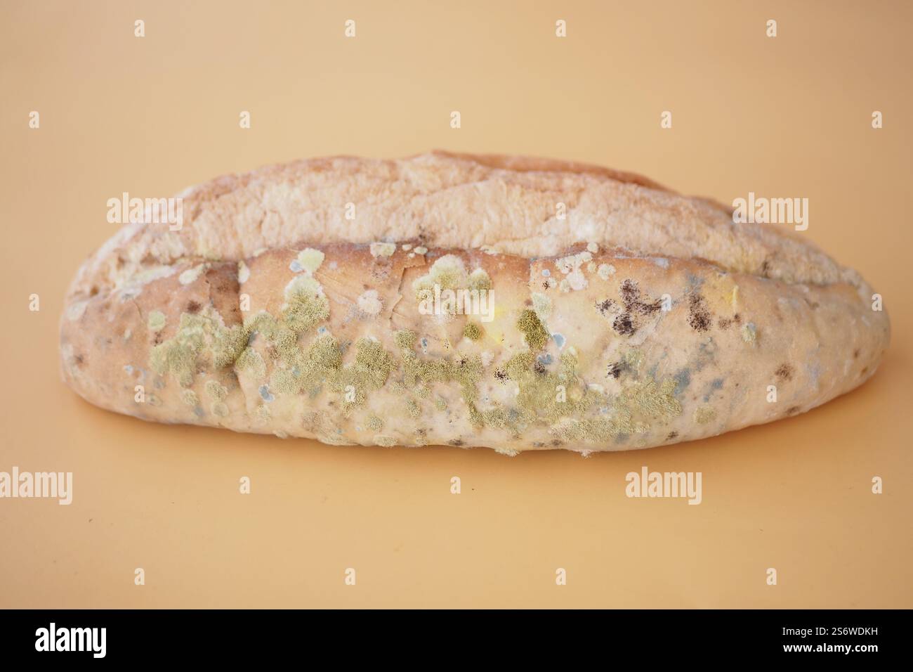 Gros plan du pain moisi illustrant la détérioration des aliments Banque D'Images