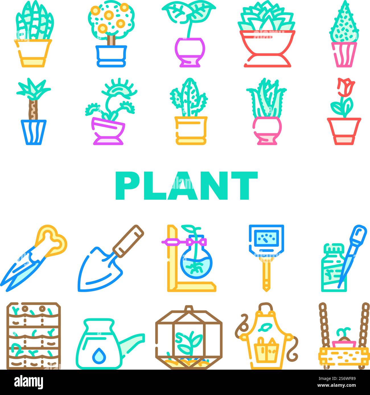 Vecteur d'ensemble d'icônes de plantes en pot et d'accessoires de soins. Sansevieria Trifasciata et Citrus Tree, Monstera deliciosa et Buxus sempervirens plante en pot. Illustrations couleur de l'équipement Florarium. Vecteur d'ensemble d'icônes de plantes en pot et d'accessoires de soins Illustration de Vecteur